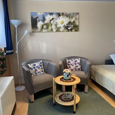 Apartment Old Huesung - Muz322 By Interhome