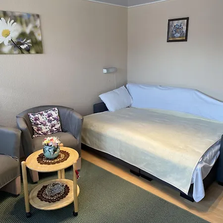 Old Huesung - Muz322 By Interhome Apartment *