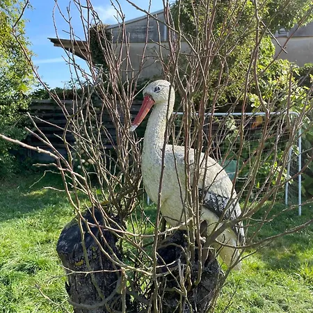 Old Huesung - Muz322 By Interhome Апартаменты *